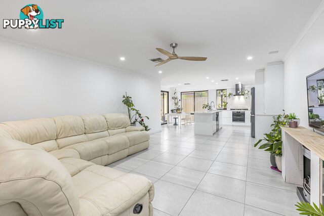 7 Thurleigh Approach BUTLER WA 6036