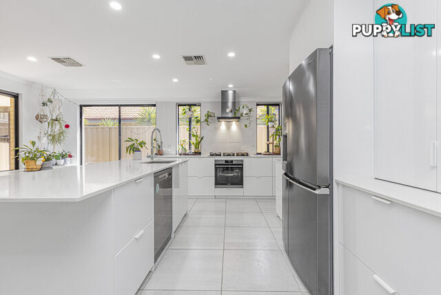 7 Thurleigh Approach BUTLER WA 6036