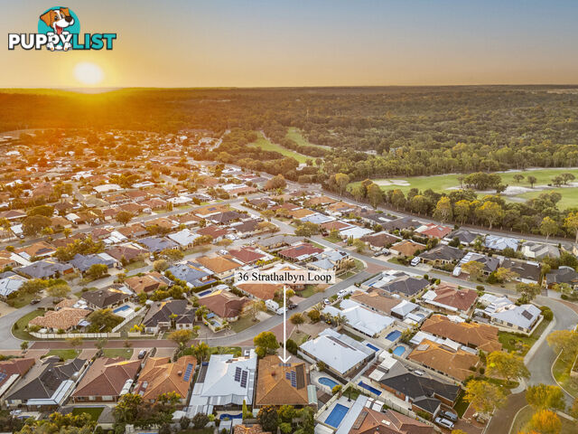 36 Strathalbyn Loop CARRAMAR WA 6031