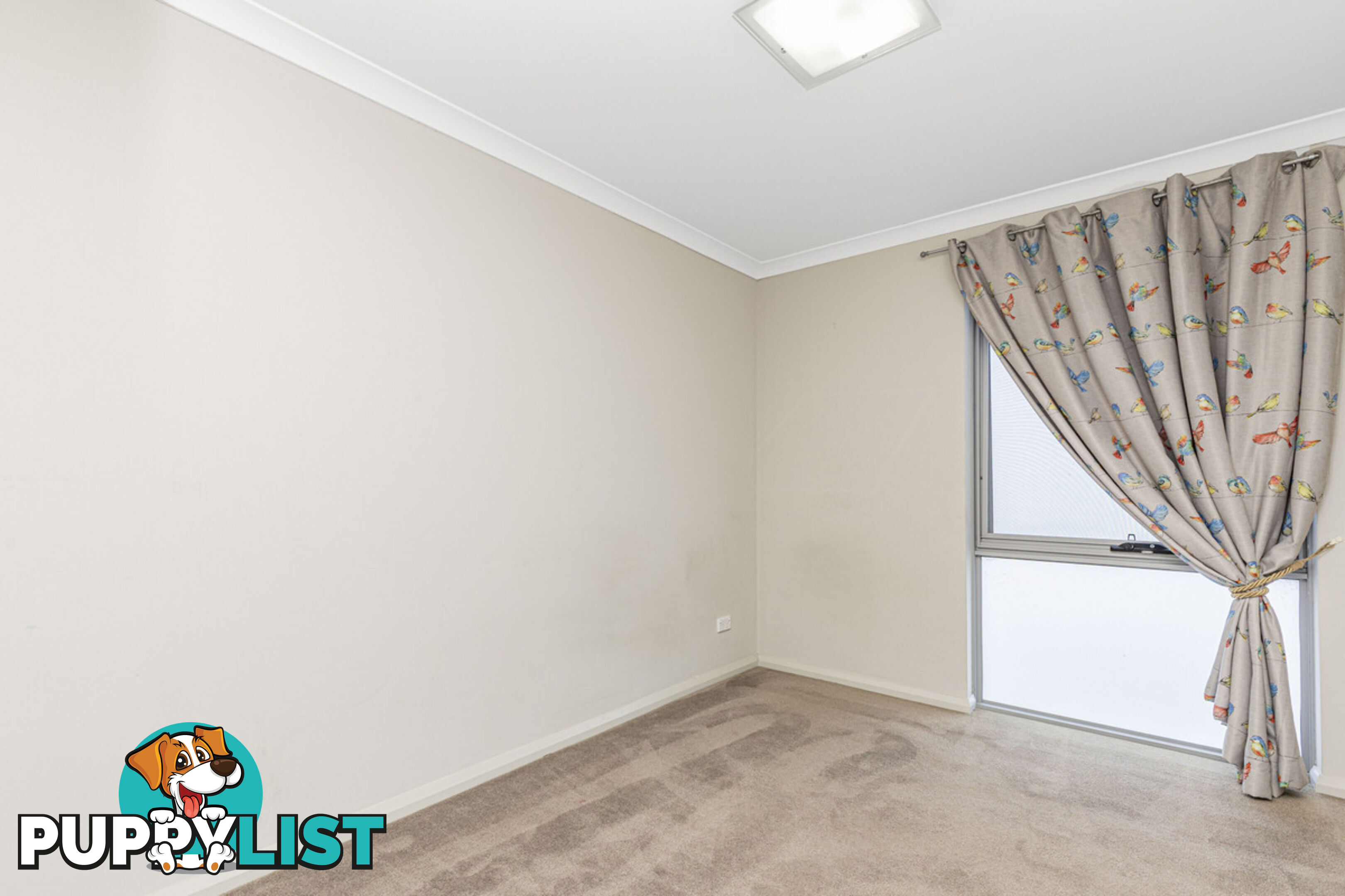 29 Wyperfeld Street YANCHEP WA 6035