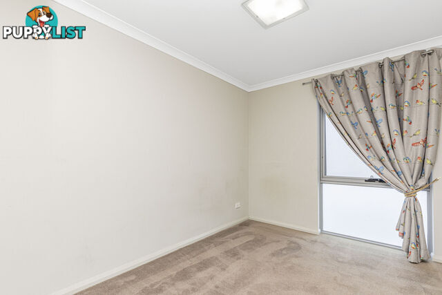 29 Wyperfeld Street YANCHEP WA 6035
