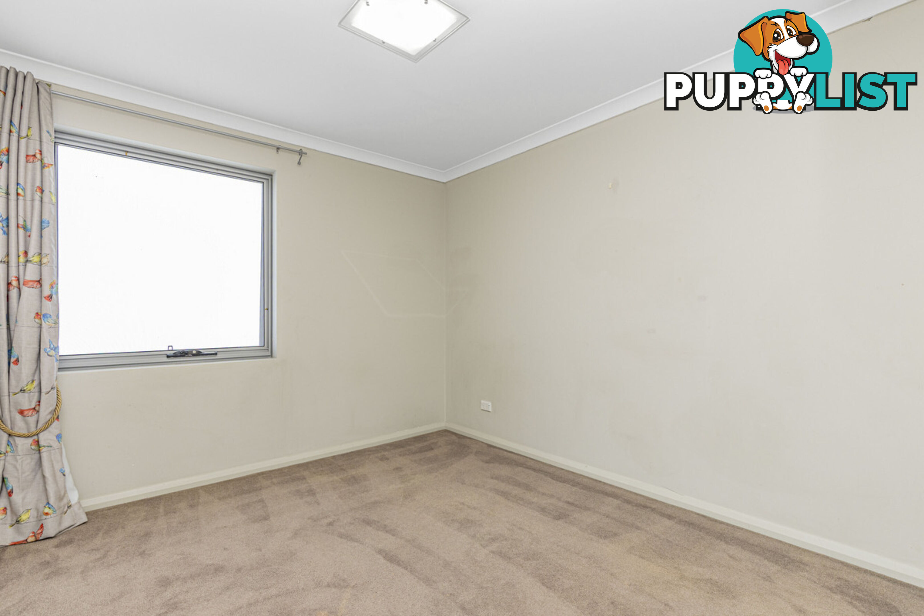 29 Wyperfeld Street YANCHEP WA 6035