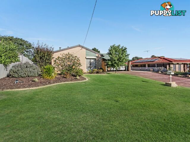 10 Wanill Place WANNEROO WA 6065