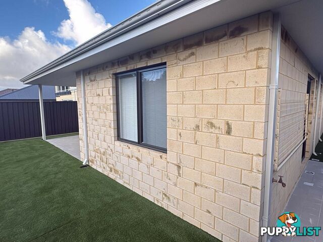 13 Barwon Place YANCHEP WA 6035