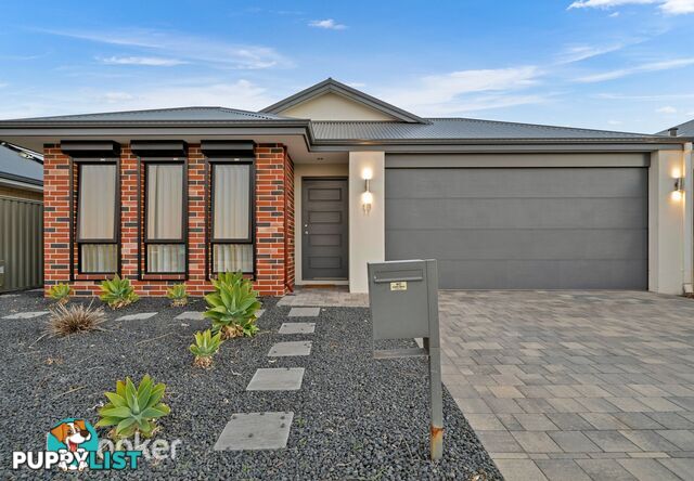 17 Pateley Street ALKIMOS WA 6038