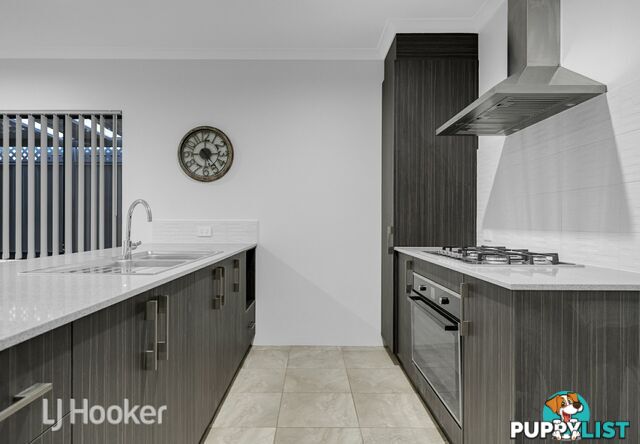 17 Pateley Street ALKIMOS WA 6038
