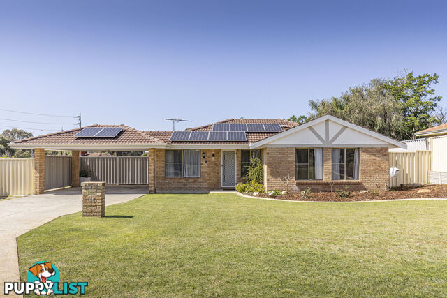 16 Fontana Cove JOONDALUP WA 6027