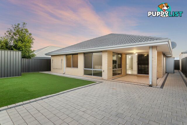 7 Pulchella Ramble BANKSIA GROVE WA 6031