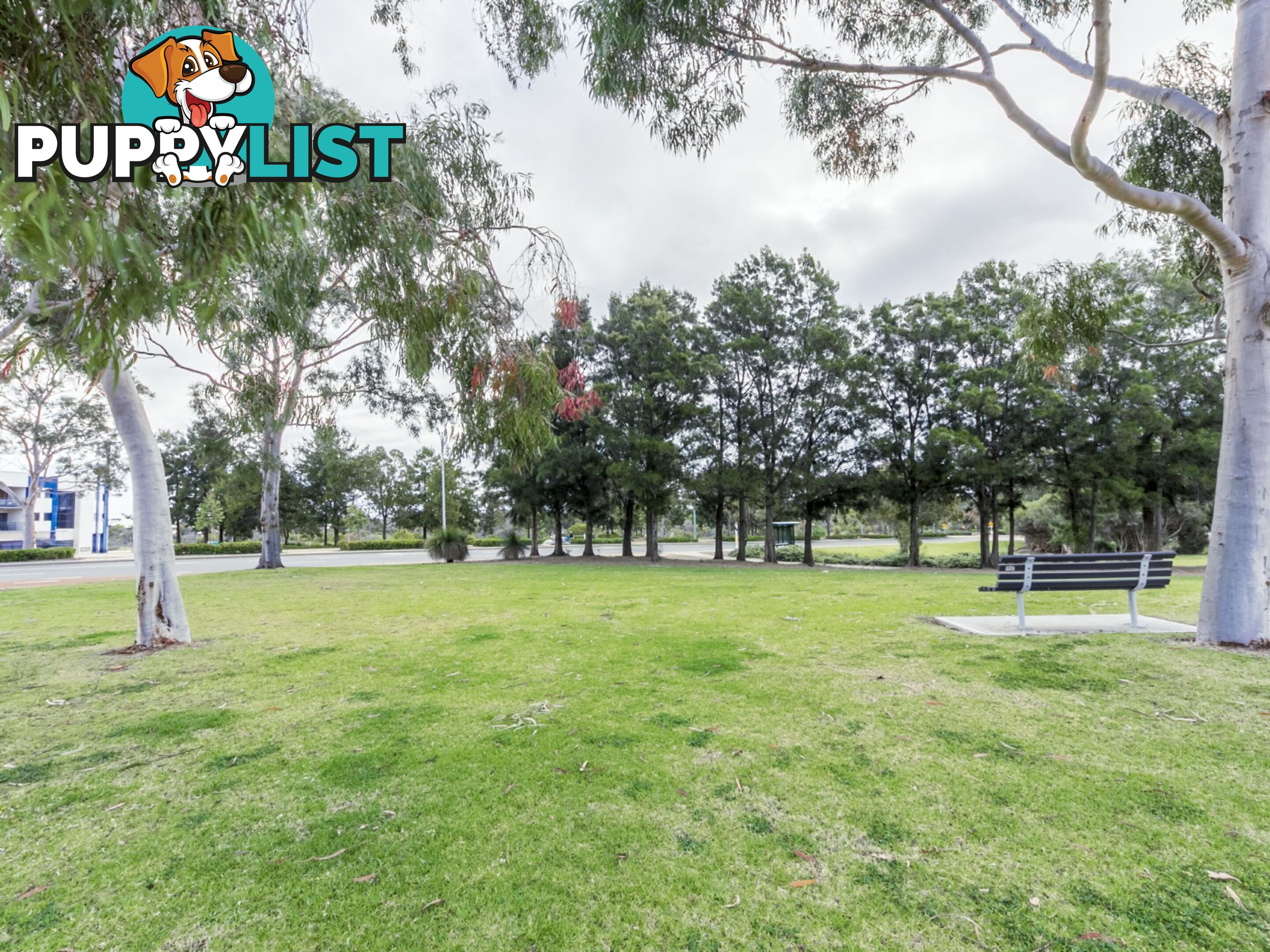 2c/1 Nottinghill Street JOONDALUP WA 6027