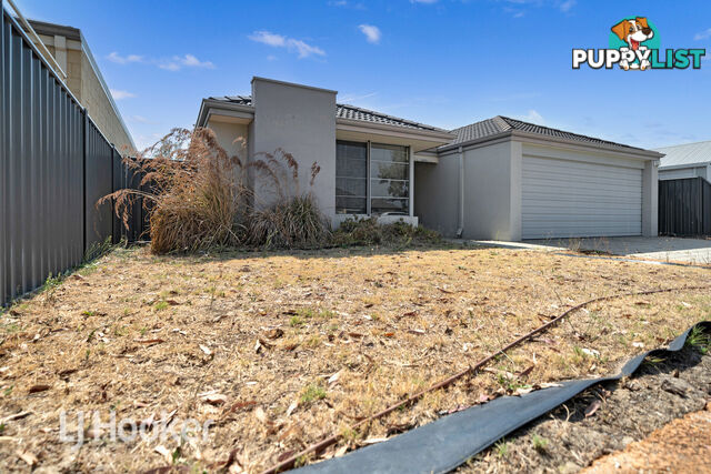 7 Joseph Banks Bvd BANKSIA GROVE WA 6031