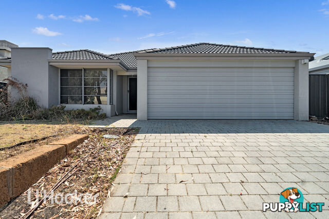 7 Joseph Banks Bvd BANKSIA GROVE WA 6031