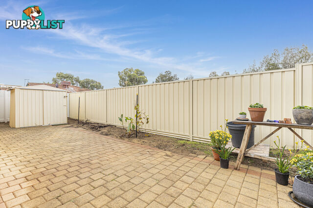 31 Danaher Mews CLARKSON WA 6030