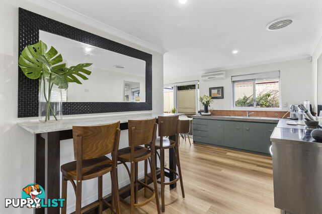31 Danaher Mews CLARKSON WA 6030