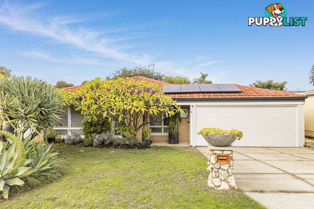 31 Danaher Mews CLARKSON WA 6030