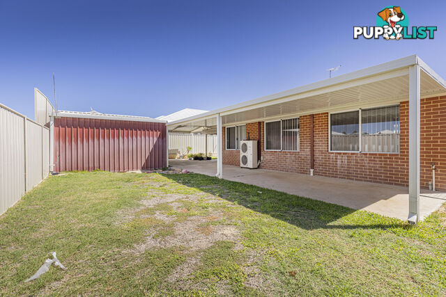 74 Kardan Drive YANCHEP WA 6035