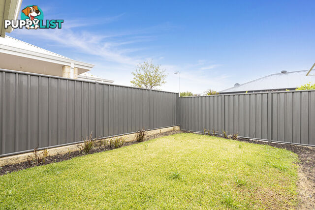 7 Hybrid Green BANKSIA GROVE WA 6031