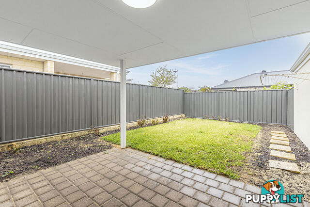 7 Hybrid Green BANKSIA GROVE WA 6031