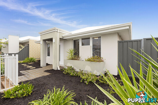 7 Hybrid Green BANKSIA GROVE WA 6031