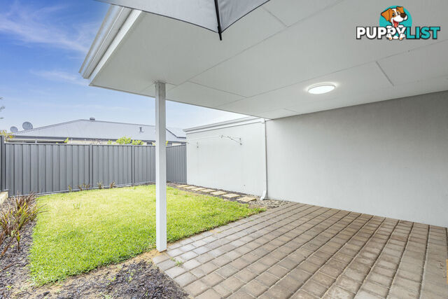 7 Hybrid Green BANKSIA GROVE WA 6031