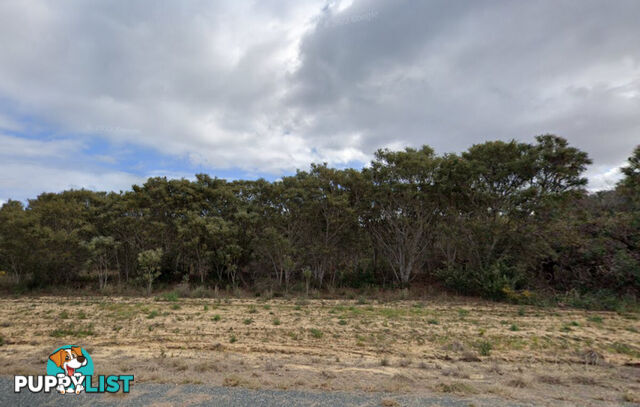 Lot 361 Agonis Close NILGEN WA 6044