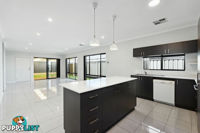 25 Dragonfly Drive BANKSIA GROVE WA 6031