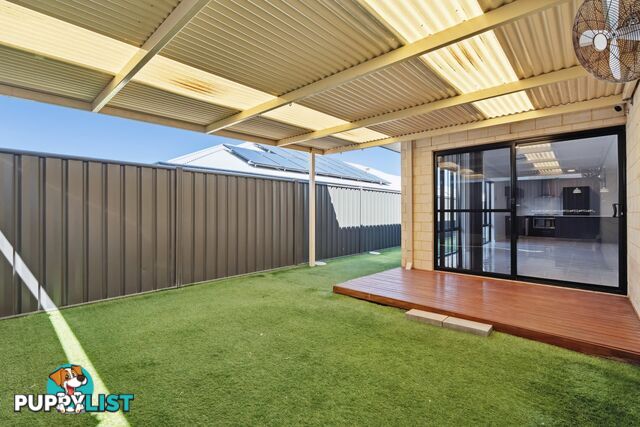 25 Dragonfly Drive BANKSIA GROVE WA 6031
