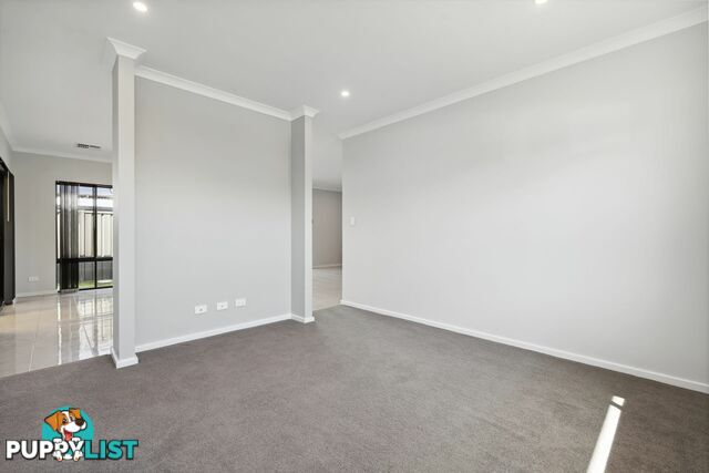 25 Dragonfly Drive BANKSIA GROVE WA 6031