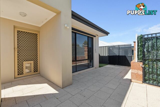 25 Dragonfly Drive BANKSIA GROVE WA 6031