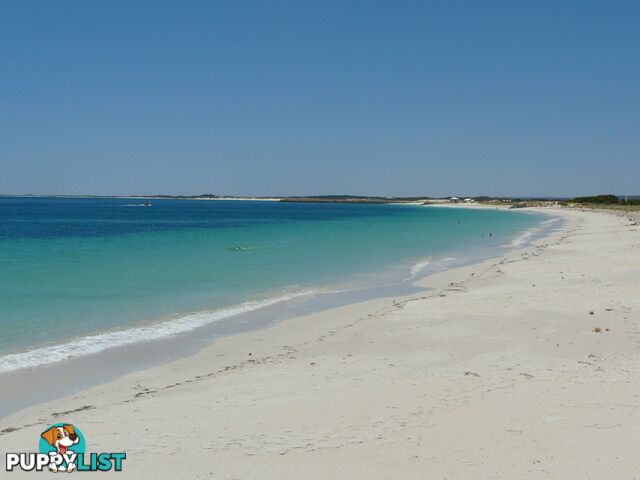 12 Bremer Parade JURIEN BAY WA 6516