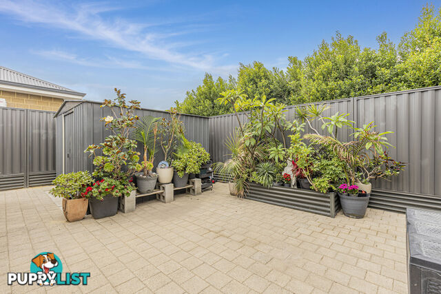 70 Luminous Crescent EGLINTON WA 6034