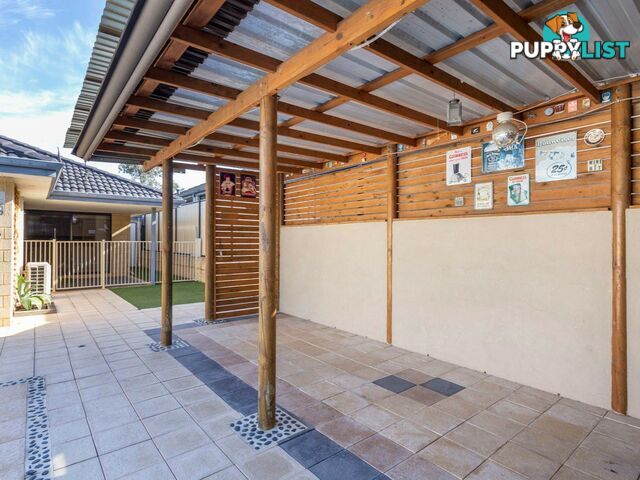 24 Lantern Way CLARKSON WA 6030