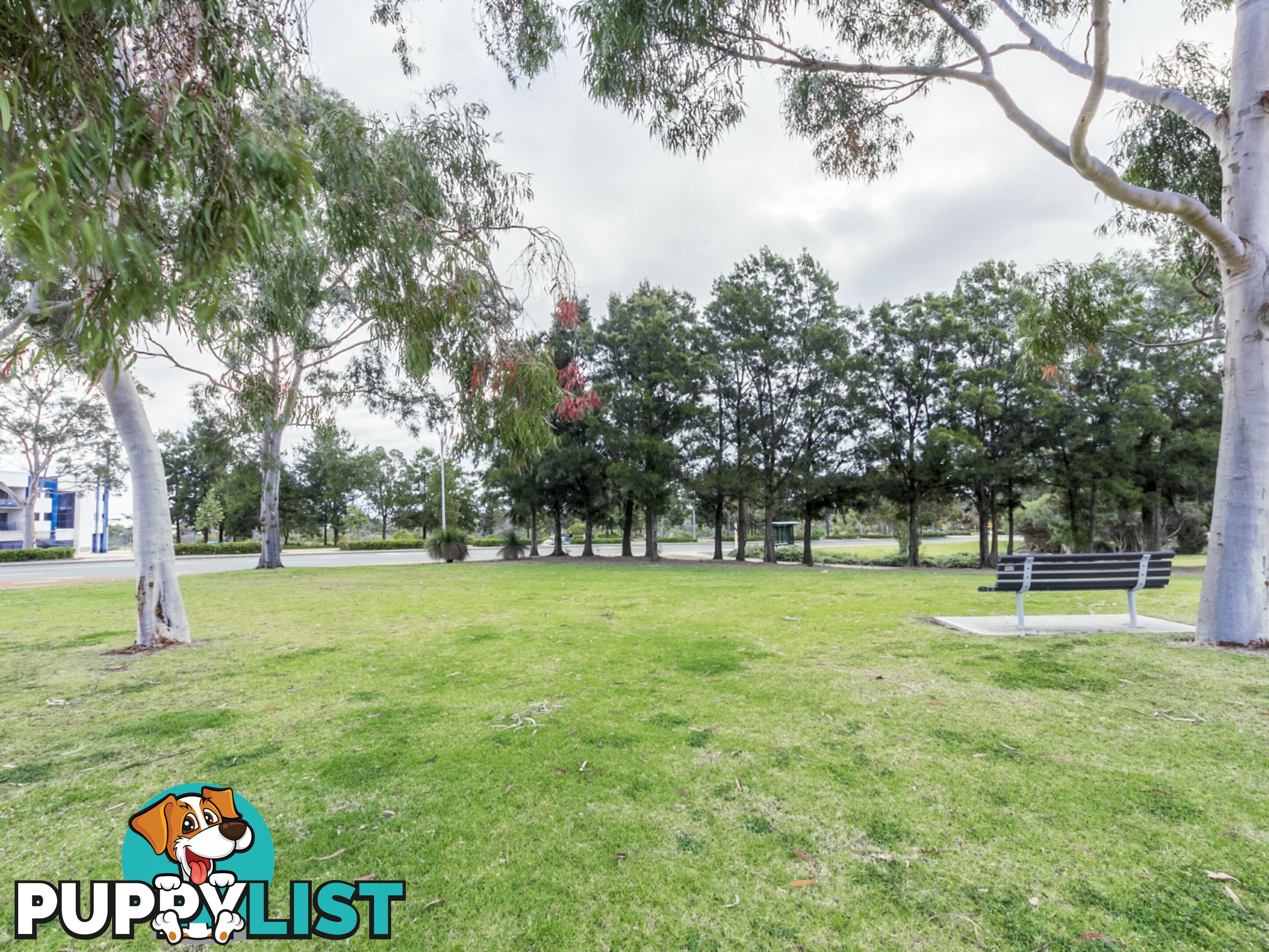 2a/1 Nottinghill Street JOONDALUP WA 6027