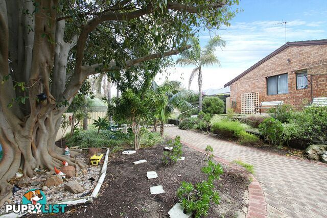 29 Galleon Road BELDON WA 6027