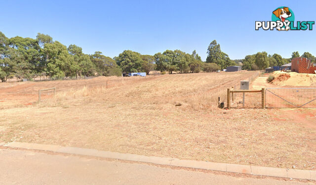 8 Eurambeen Court GINGIN WA 6503