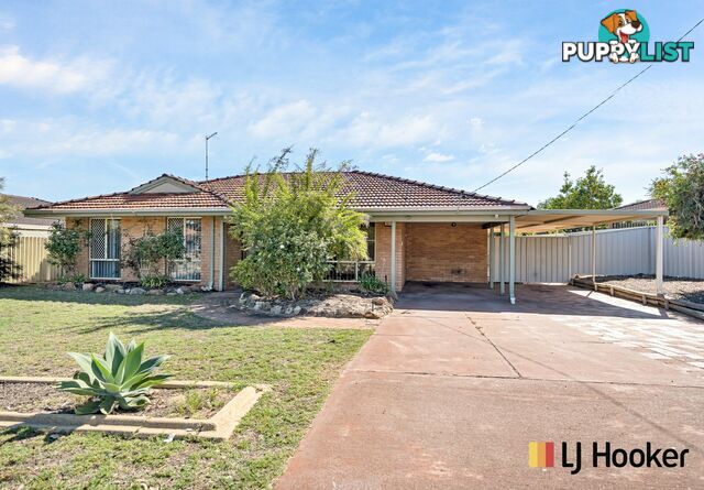 37 Adelaide Circle CRAIGIE WA 6025