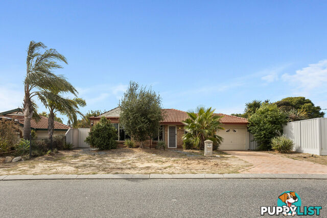 102 Turquoise Loop BANKSIA GROVE WA 6031
