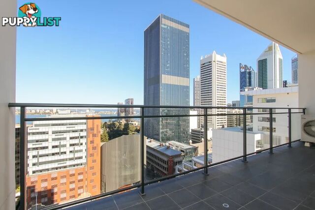 113/101 Murray Street PERTH WA 6000