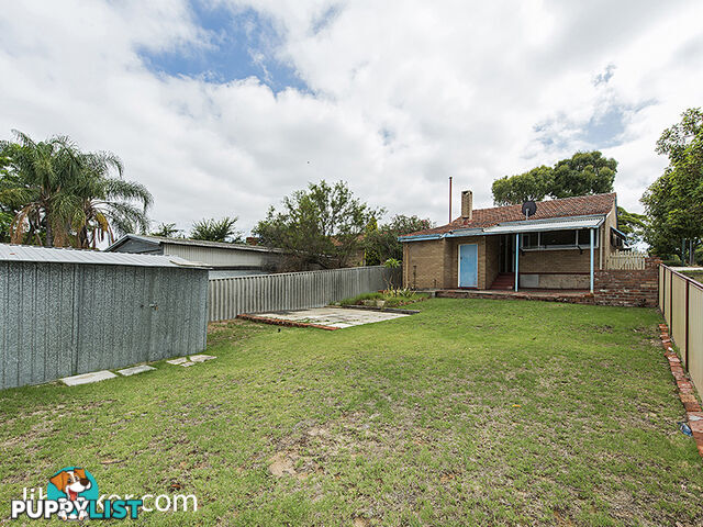 239 Gloucester Street VICTORIA PARK WA 6100