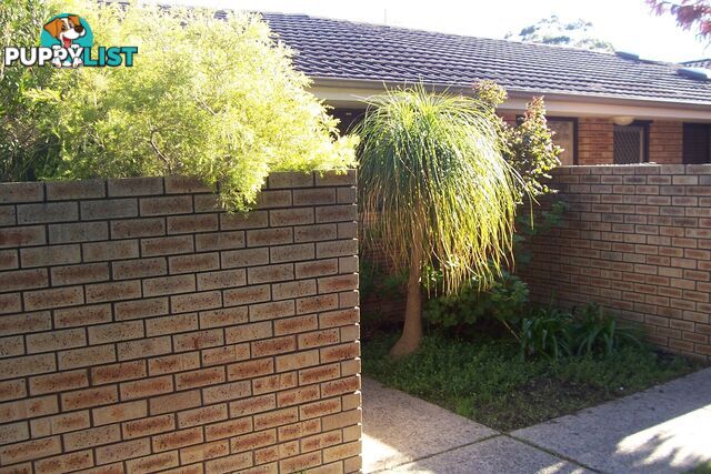 Unit 4/129 Hubert St EAST VICTORIA PARK WA 6101