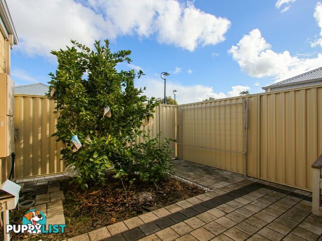 31/1 Cameron Street LANGFORD WA 6147