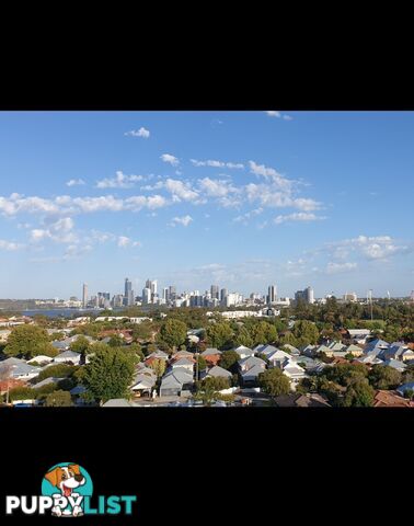 708/69 King George St VICTORIA PARK WA 6100