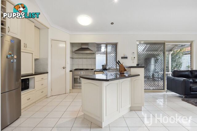 81 Archer Street CARLISLE WA 6101