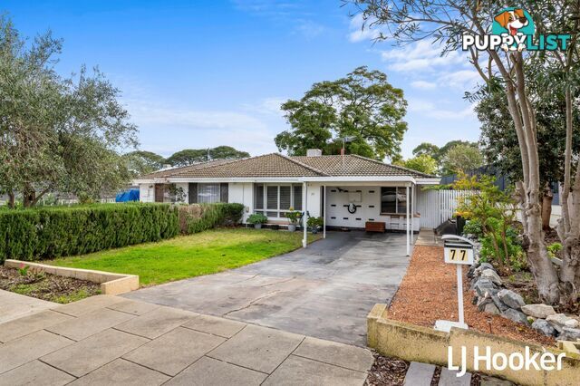 77 Ashburton Street EAST VICTORIA PARK WA 6101