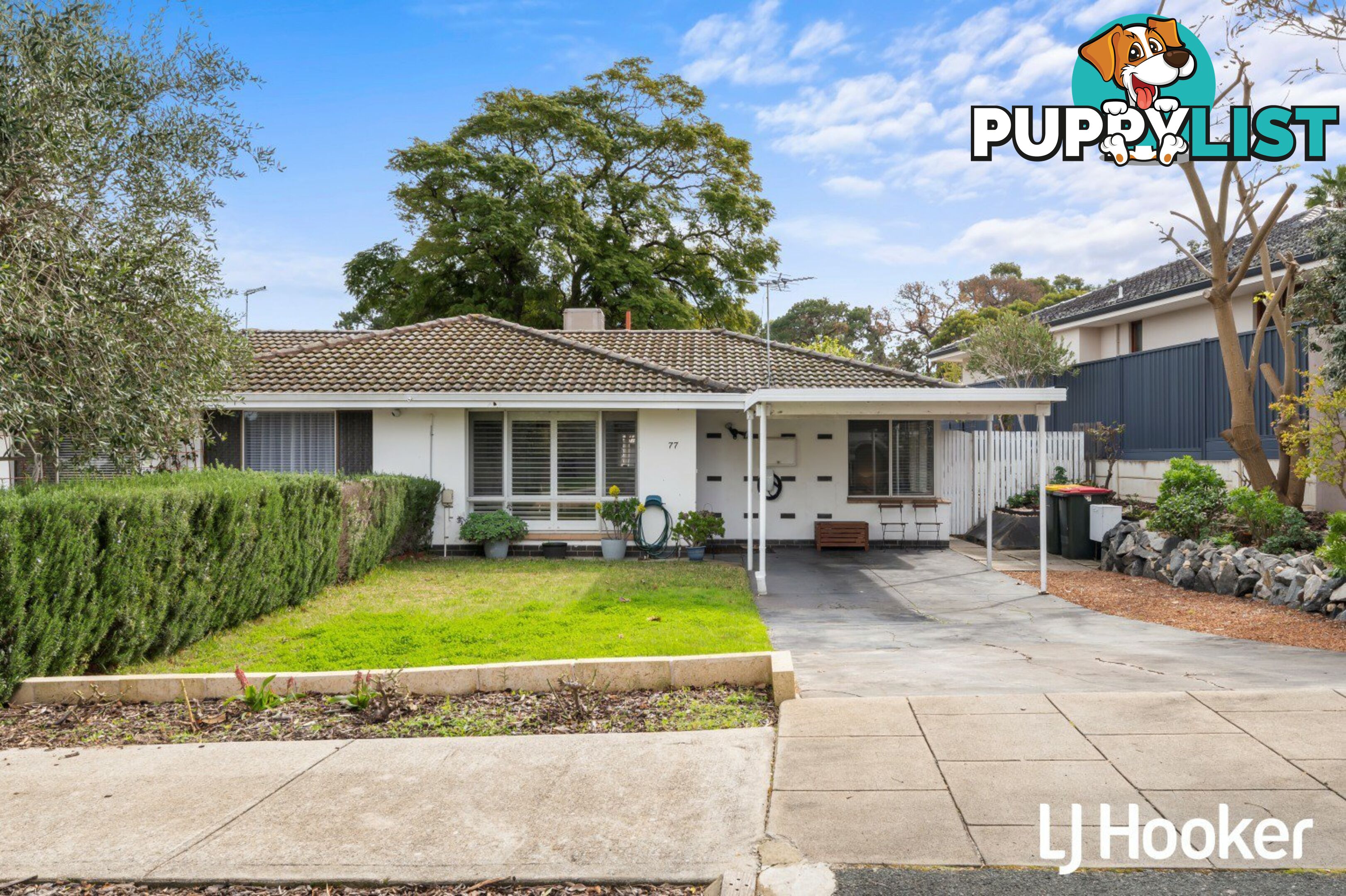 77 Ashburton Street EAST VICTORIA PARK WA 6101