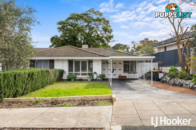 77 Ashburton Street EAST VICTORIA PARK WA 6101