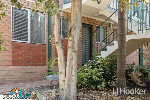 1/6 Dane Street EAST VICTORIA PARK WA 6101