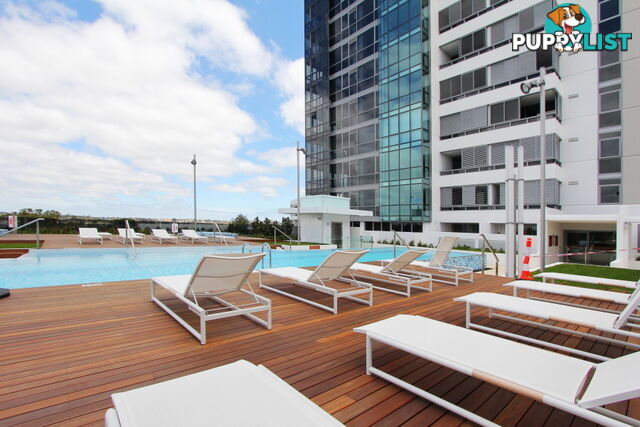 Unit 1006/8-10 Adelaide Tce EAST PERTH WA 6004