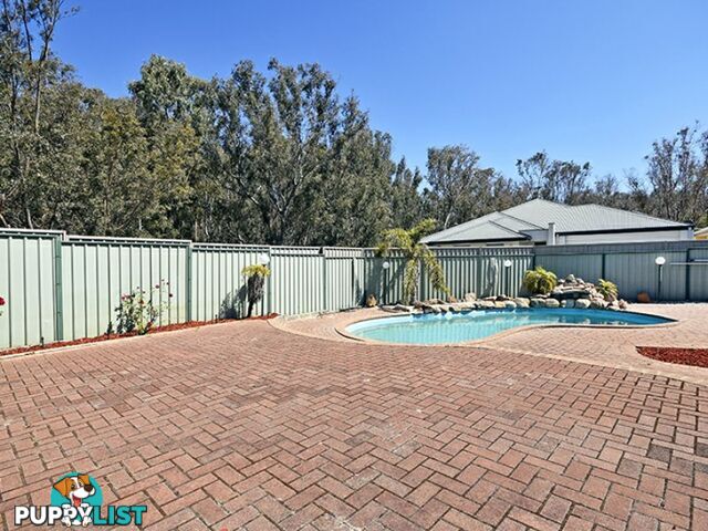 157 Summerlakes Parade BALLAJURA WA 6066