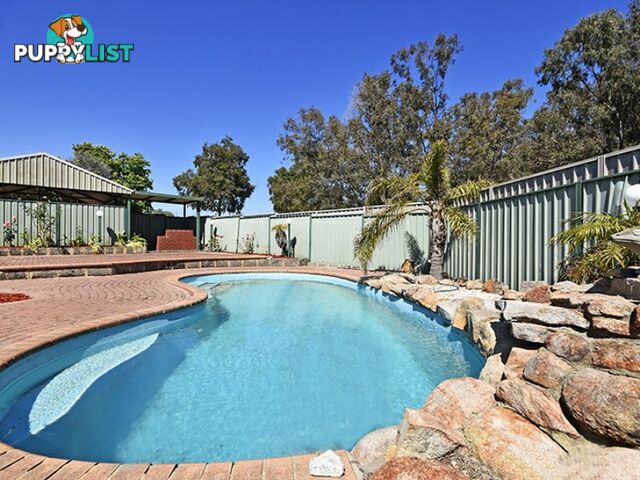 157 Summerlakes Parade BALLAJURA WA 6066