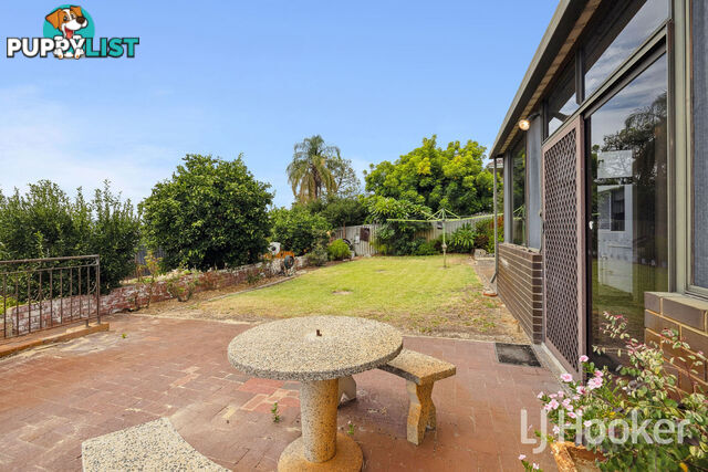 8 Bunning Street BENTLEY WA 6102